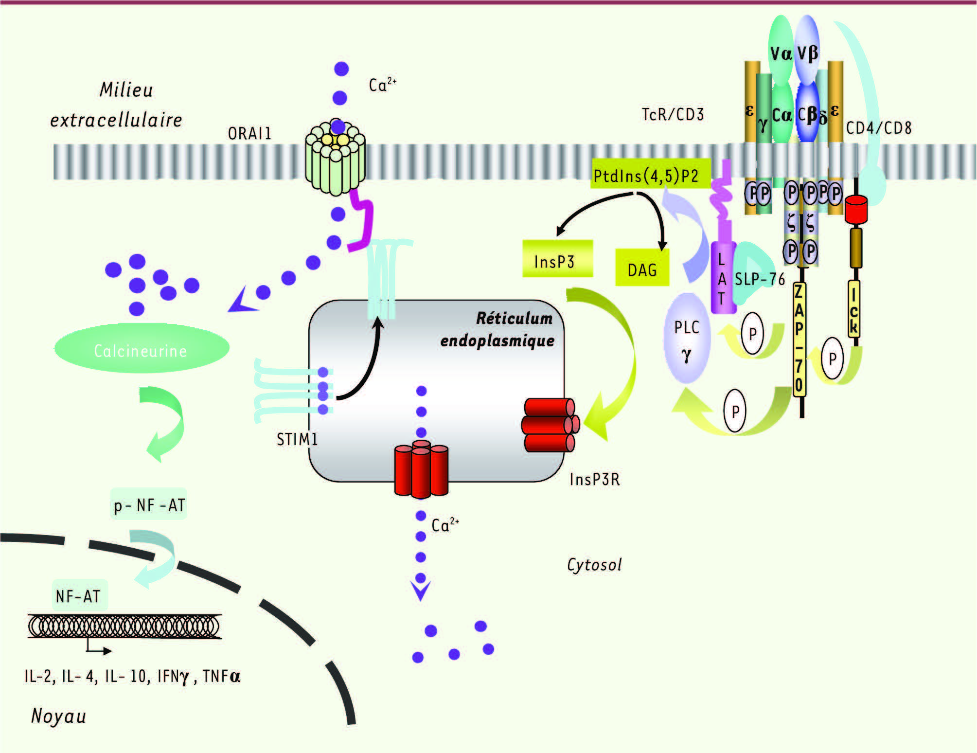Figure 5.
