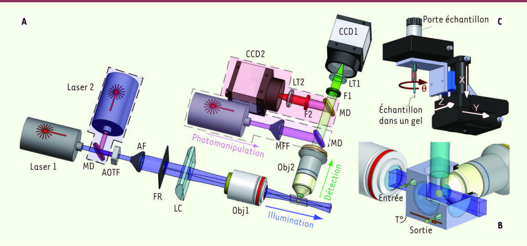 Figure 2.