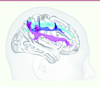 Figure 1. Figure 1.