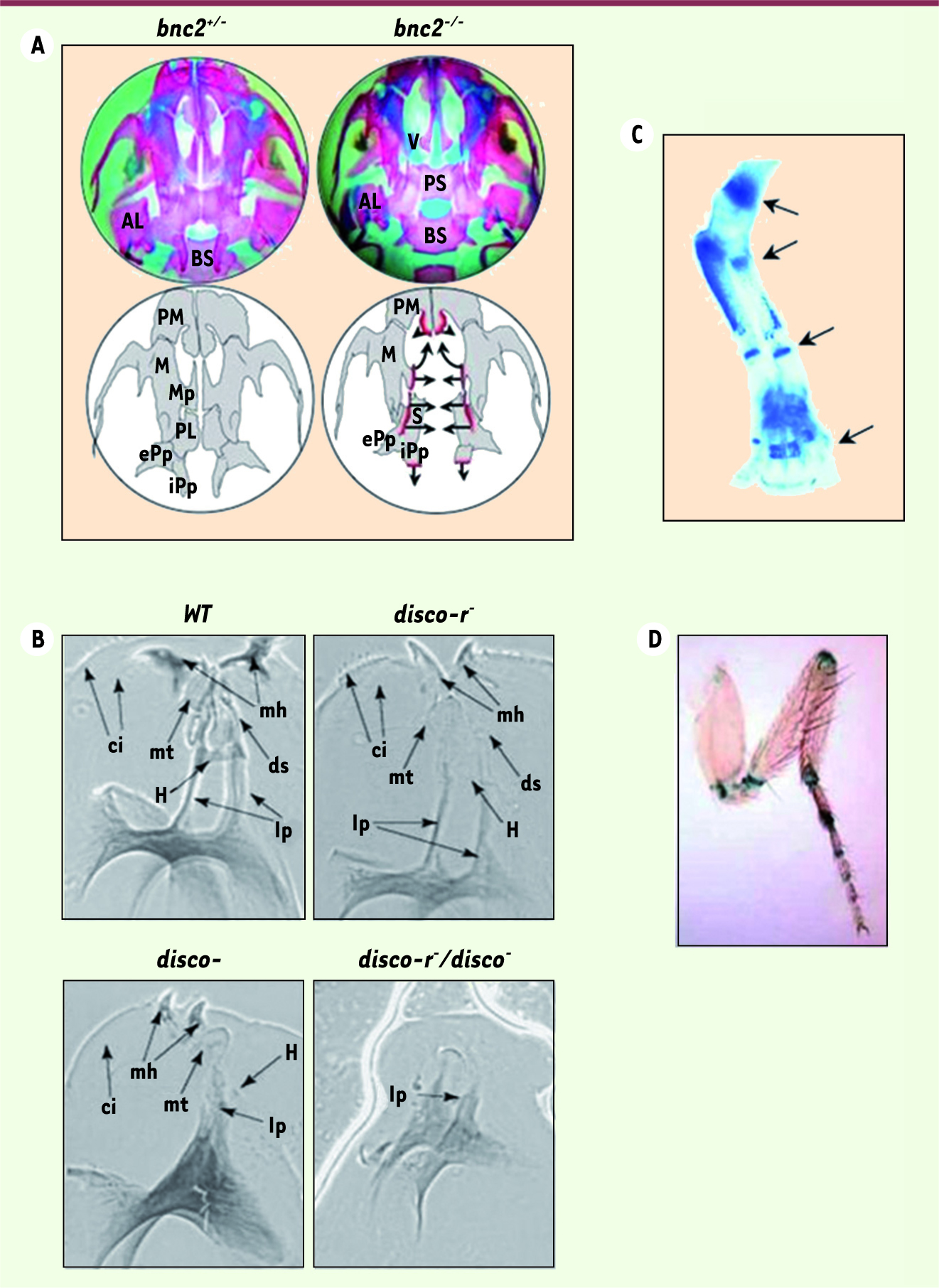 Figure 2.