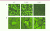 Figure 2 Figure 2