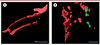 Figure 1. Figure 1.