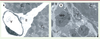 Figure 2. Figure 2.