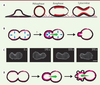 Figure 1. Figure 1.