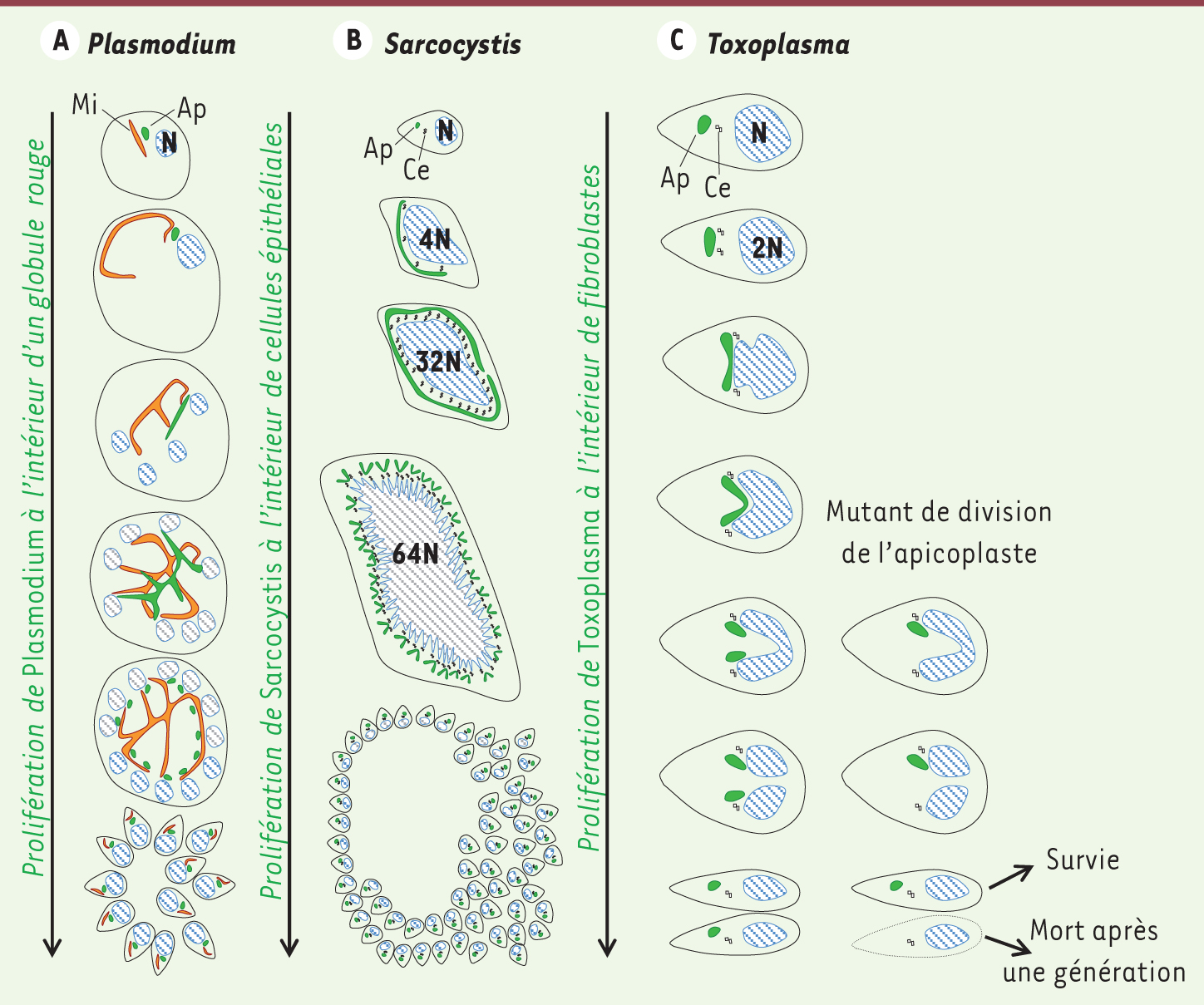 Figure 4.