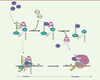 Figure 2. Figure 2.