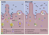 Figure 1. Figure 1.