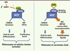 Figure 2. Figure 2.