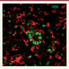 Figure 1. Figure 1.