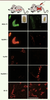 Figure 2. Figure 2.