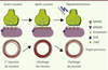 Figure 2. Figure 2.