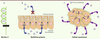 Figure 1. Figure 1.