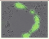 Figure 2. Figure 2.