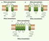 Figure 3. Figure 3.