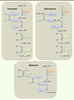 Figure 2. Figure 2.