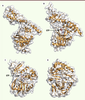 Figure 4. Figure 4.