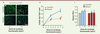 Figure 1. Figure 1.