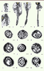 Figure 3. Figure 3.