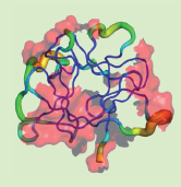 inline-graphic medsci2012286-7p580-img1.jpg