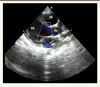 Figure 4. Figure 4.