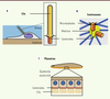 Figure 1. Figure 1.
