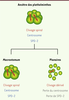 Figure 2. Figure 2.
