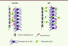 Figure 2. Figure 2.