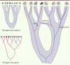 Figure 1. Figure 1.