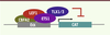 Figure 1. Figure 1.