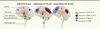 Figure 1. Figure 1.