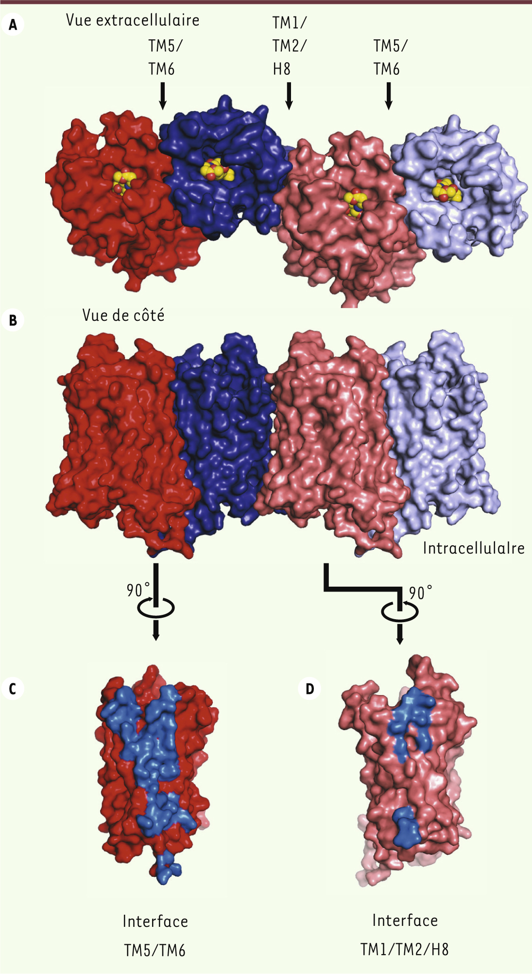 Figure 4.