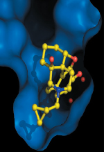 inline-graphic medsci20122810p870-img1.jpg