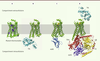 Figure 1. Figure 1.