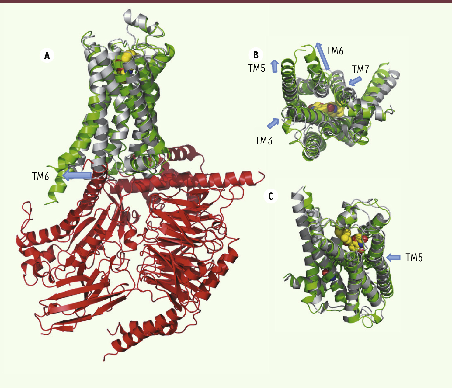 Figure 2.