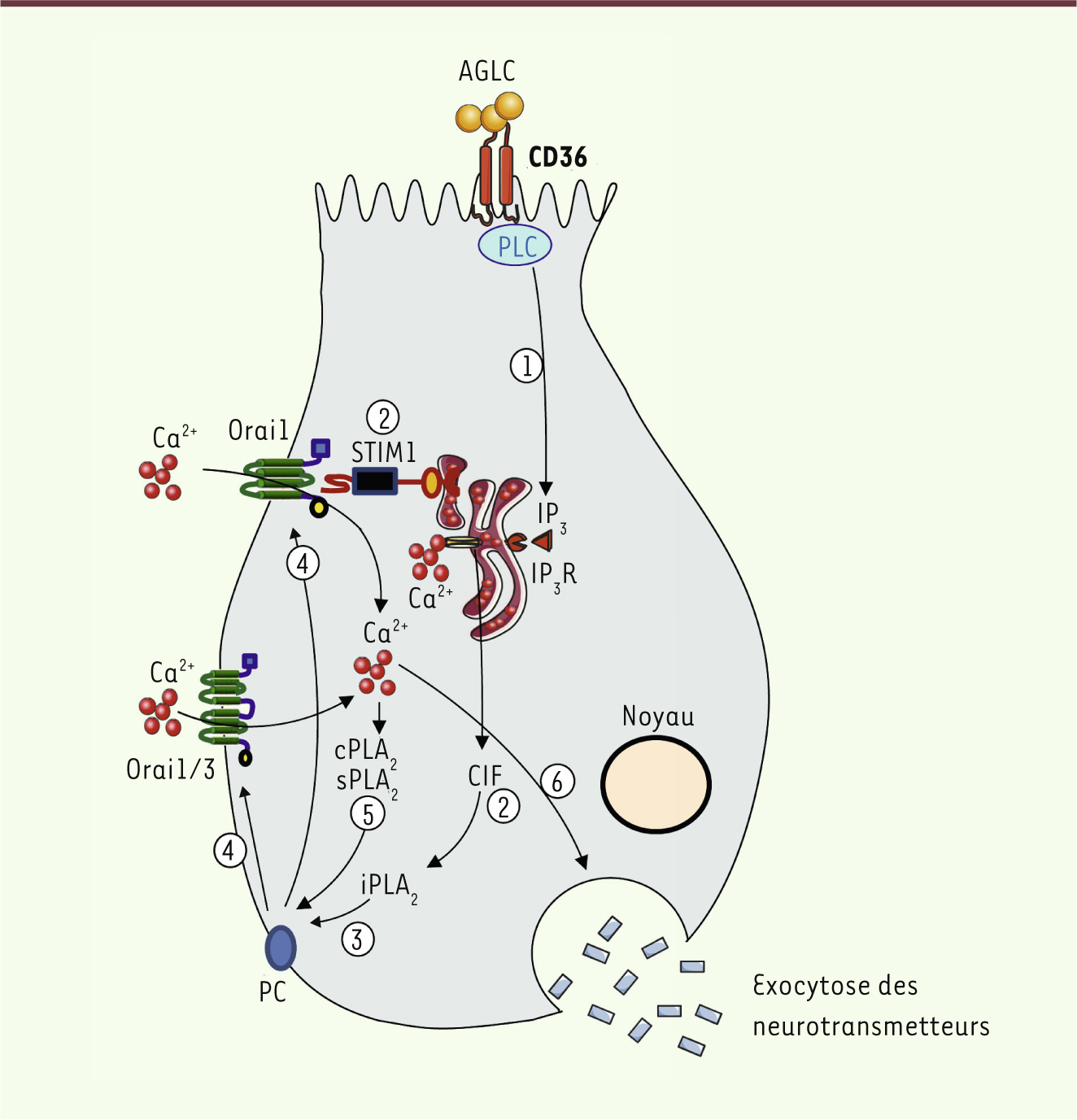 Figure 1.