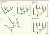 Figure 3. Figure 3.