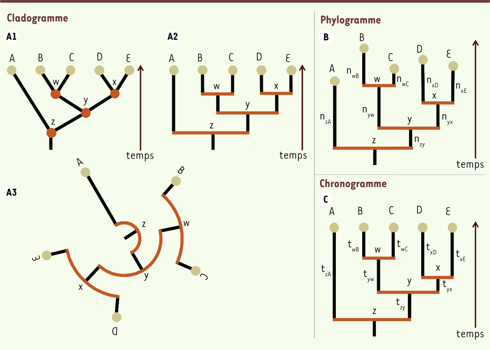 Figure 3.