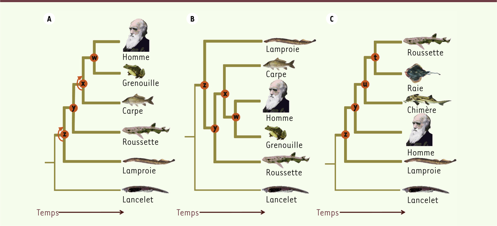 Figure 4.