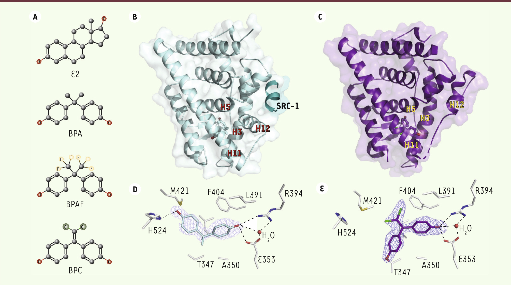 Figure 1.