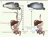 Figure 2. Figure 2.