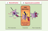 Figure 2. Figure 2.
