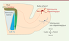 Figure 2. Figure 2.