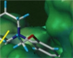 inline-graphic medsci2013294p430-img1.jpg