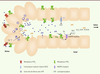 Figure 2. Figure 2.