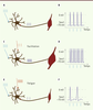 Figure 2. Figure 2.