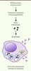 Figure 1. Figure 1.