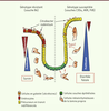 Figure 2. Figure 2.