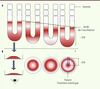 Figure 1. Figure 1.