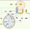 Figure 2. Figure 2.