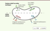 Figure 1. Figure 1.